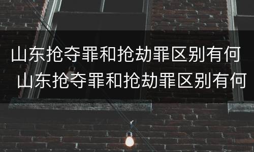 山东抢夺罪和抢劫罪区别有何 山东抢夺罪和抢劫罪区别有何关系