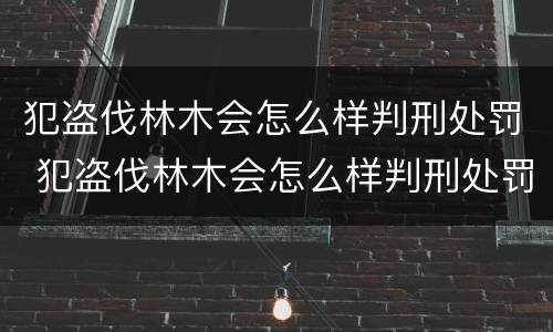 犯盗伐林木会怎么样判刑处罚 犯盗伐林木会怎么样判刑处罚吗