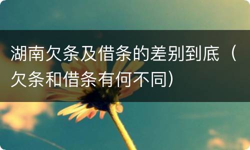 湖南欠条及借条的差别到底（欠条和借条有何不同）