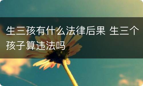 生三孩有什么法律后果 生三个孩子算违法吗