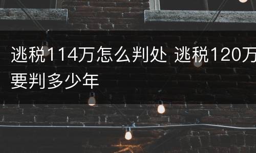逃税114万怎么判处 逃税120万要判多少年