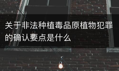关于非法种植毒品原植物犯罪的确认要点是什么