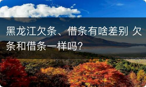 黑龙江欠条、借条有啥差别 欠条和借条一样吗?