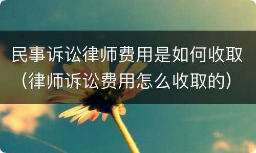 民事诉讼律师费用是如何收取（律师诉讼费用怎么收取的）
