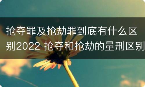 抢夺罪及抢劫罪到底有什么区别2022 抢夺和抢劫的量刑区别