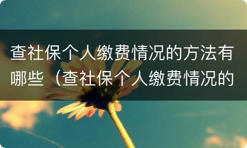 查社保个人缴费情况的方法有哪些（查社保个人缴费情况的方法有哪些呢）