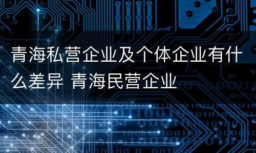 青海私营企业及个体企业有什么差异 青海民营企业