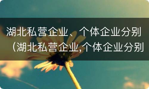湖北私营企业、个体企业分别（湖北私营企业,个体企业分别有哪些）