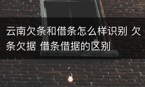 云南欠条和借条怎么样识别 欠条欠据 借条借据的区别