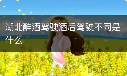 湖北醉酒驾驶酒后驾驶不同是什么