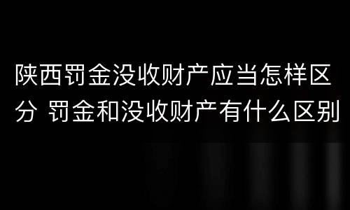 陕西罚金没收财产应当怎样区分 罚金和没收财产有什么区别
