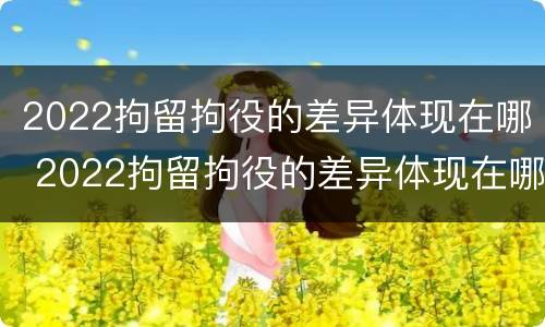 2022拘留拘役的差异体现在哪 2022拘留拘役的差异体现在哪些方面