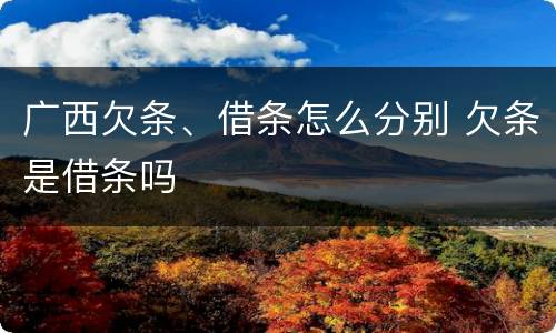 广西欠条、借条怎么分别 欠条是借条吗