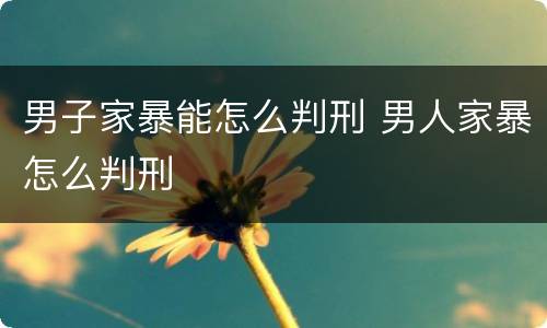 男子家暴能怎么判刑 男人家暴怎么判刑