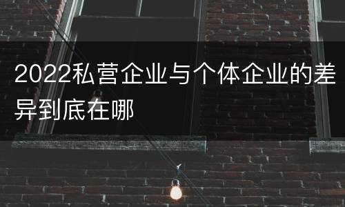 2022私营企业与个体企业的差异到底在哪