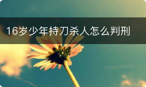 16岁少年持刀杀人怎么判刑