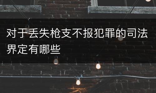 对于丢失枪支不报犯罪的司法界定有哪些