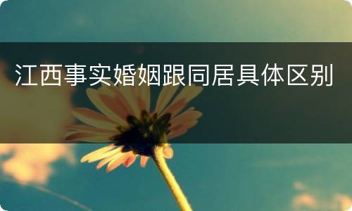 江西事实婚姻跟同居具体区别