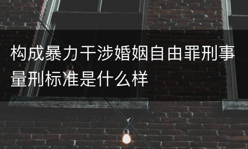 构成暴力干涉婚姻自由罪刑事量刑标准是什么样