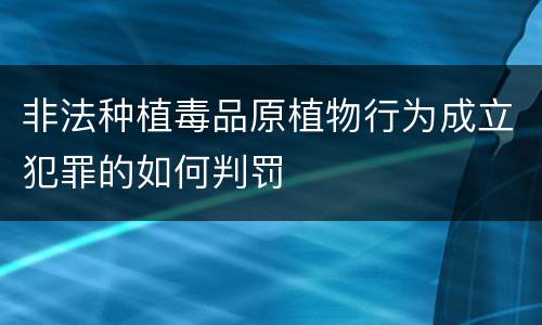 非法种植毒品原植物行为成立犯罪的如何判罚