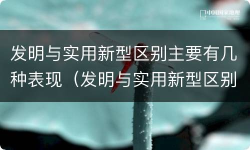 发明与实用新型区别主要有几种表现（发明与实用新型区别主要有几种表现方式）