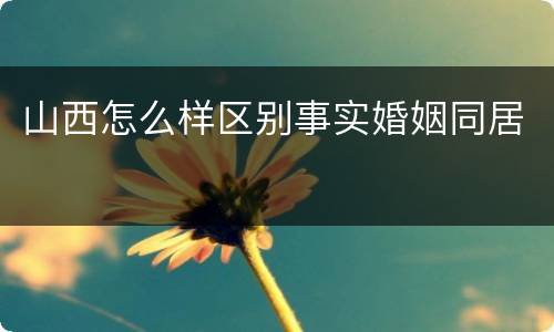 山西怎么样区别事实婚姻同居