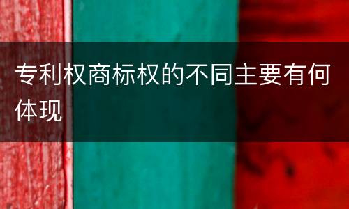 专利权商标权的不同主要有何体现