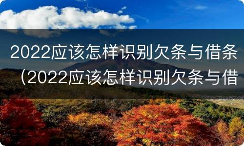 2022应该怎样识别欠条与借条（2022应该怎样识别欠条与借条呢）