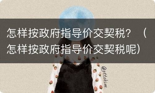 怎样按政府指导价交契税？（怎样按政府指导价交契税呢）