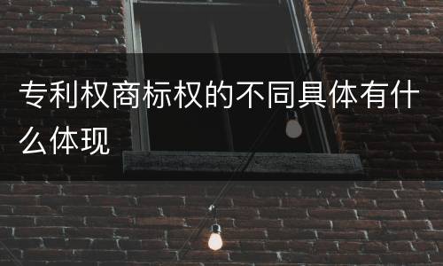 专利权商标权的不同具体有什么体现