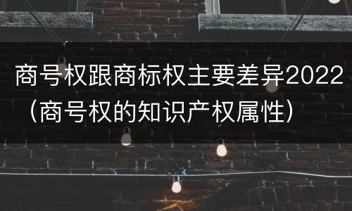 商号权跟商标权主要差异2022（商号权的知识产权属性）