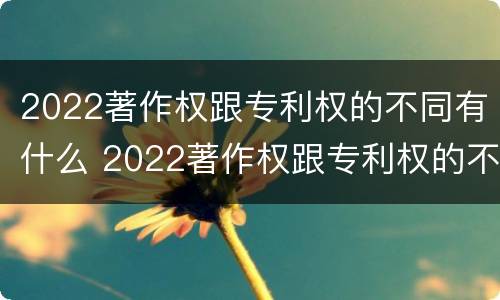 2022著作权跟专利权的不同有什么 2022著作权跟专利权的不同有什么意义