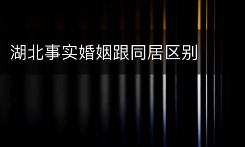 湖北事实婚姻跟同居区别
