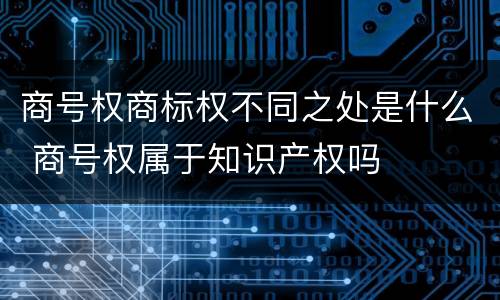 商号权商标权不同之处是什么 商号权属于知识产权吗