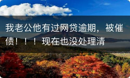 我老公他有过网贷逾期，被催债！！！现在也没处理清