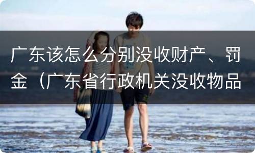 广东该怎么分别没收财产、罚金（广东省行政机关没收物品处理暂行办法）