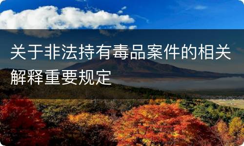关于非法持有毒品案件的相关解释重要规定