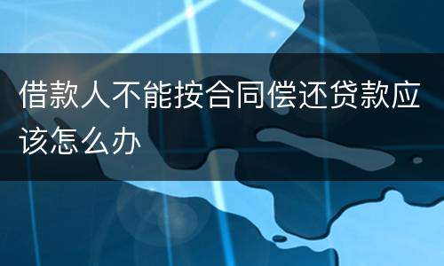 借款人不能按合同偿还贷款应该怎么办