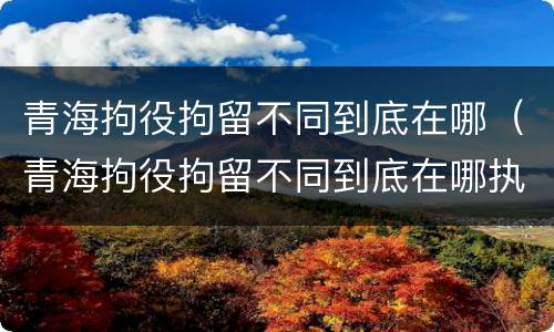 青海拘役拘留不同到底在哪（青海拘役拘留不同到底在哪执行）