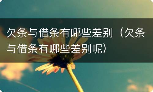 欠条与借条有哪些差别（欠条与借条有哪些差别呢）