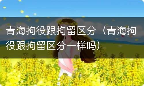 青海拘役跟拘留区分（青海拘役跟拘留区分一样吗）