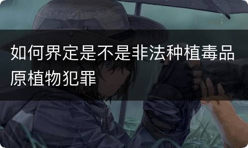 如何界定是不是非法种植毒品原植物犯罪