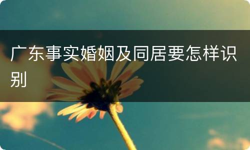 广东事实婚姻及同居要怎样识别
