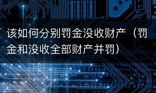 该如何分别罚金没收财产（罚金和没收全部财产并罚）