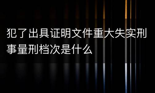 犯了出具证明文件重大失实刑事量刑档次是什么