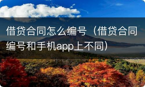 借贷合同怎么编号（借贷合同编号和手机app上不同）