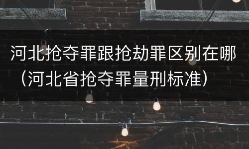 河北抢夺罪跟抢劫罪区别在哪（河北省抢夺罪量刑标准）