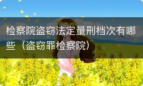 检察院盗窃法定量刑档次有哪些（盗窃罪检察院）