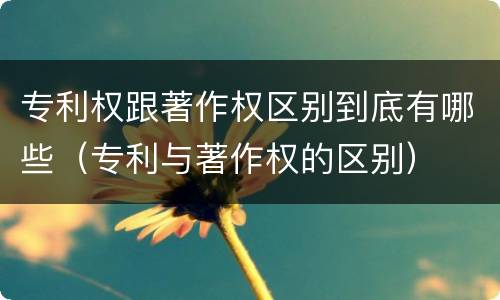 专利权跟著作权区别到底有哪些（专利与著作权的区别）