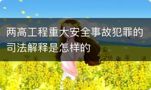 两高工程重大安全事故犯罪的司法解释是怎样的